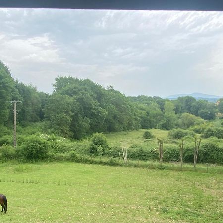 Appartement Dans Belle Maison Basque Mouguerre Eksteriør billede