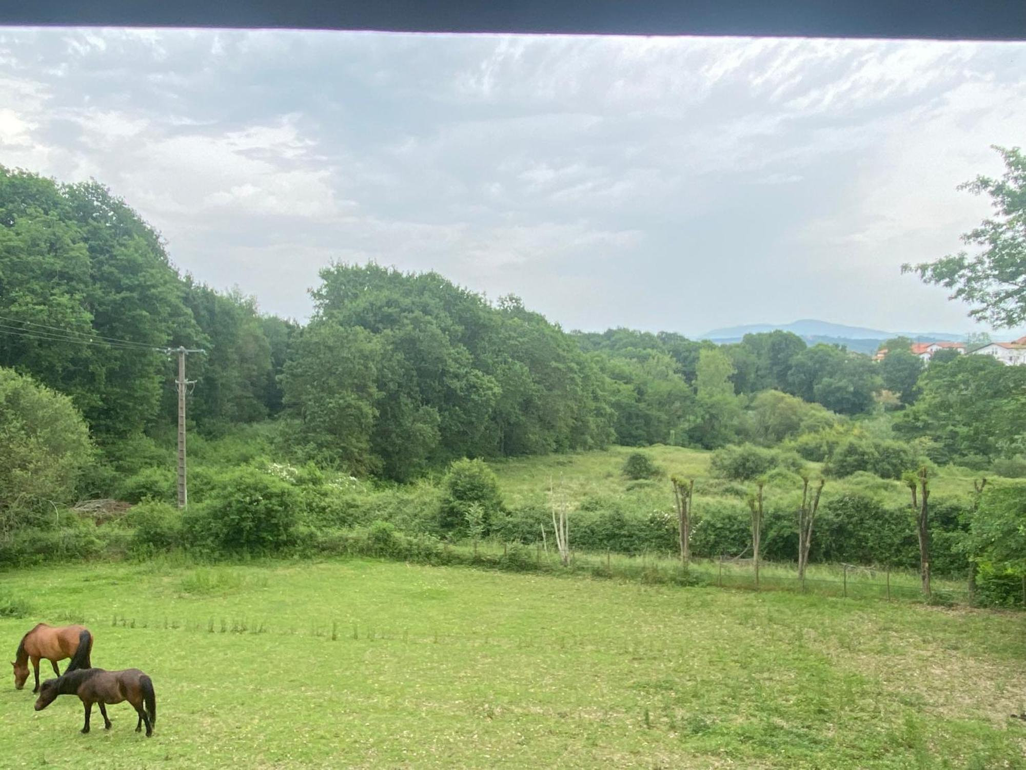 Appartement Dans Belle Maison Basque Mouguerre Eksteriør billede